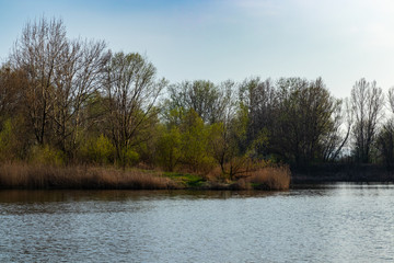 Ponds in Wola Rusiecka near Krakow