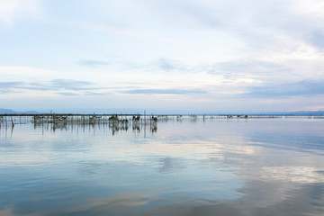 frozen lake in winter
