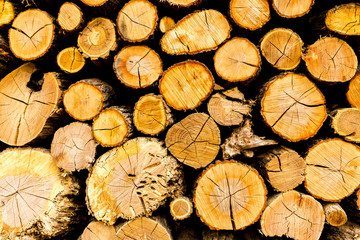Wooden rough textured background. Pine chopped firewood stacked in woodpile.