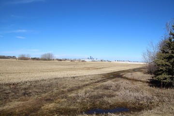 Melted Farmers Field , Pylypow Wetlands, Edmonton, Alberta