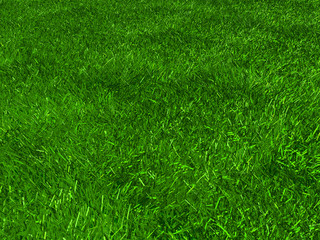 artificial grass, texture of green grass, 3d rendering, trugreen, processed with lawn mower and aerator