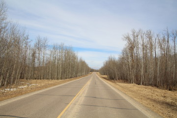 Early Spring On The Elk Island Parkway, Elk Island National Park, Alberta