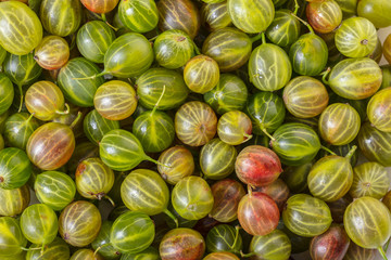 texture of berries gooseberries