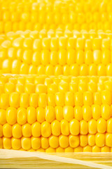 texture of corn cobs closeup