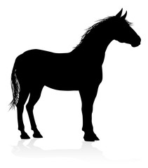 A high quality very detailed horse in silhouette