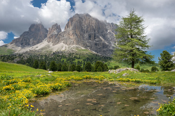 Obraz premium Dolomites scenic view during summer