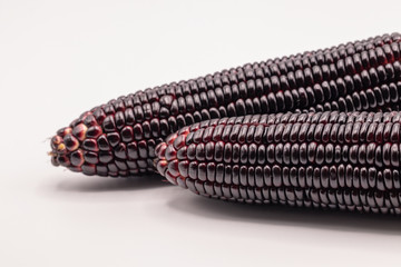 Close up Siam ruby queen corn isolated on white background. It can be eaten  fresh, steamed, grilled and microwaved. Sweet red corn of Thailand. 