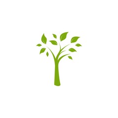Green flat tree with sharp leaves isolated on white. organic symbol.