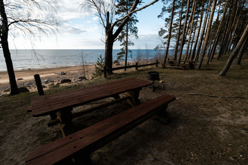 Beautiful distant picnic and camping spot near a Baltic sea in a pine forest with a boulder beach in the background - Veczemju Klintis, Latvia, April, 2019