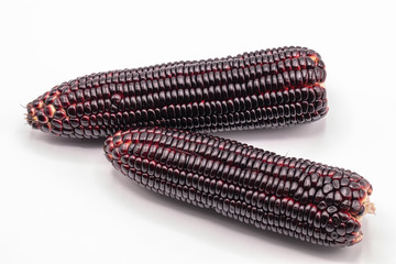 Close up Siam ruby queen corn isolated on white background. It can be eaten  fresh, steamed, grilled and microwaved. Sweet red corn of Thailand. 