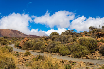 Naklejka premium View of El Teide National park landscape, Tenerife, Canary Islands, Spain - Image