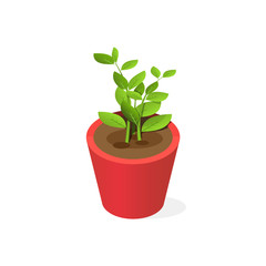  Pot plant in isometric style. Vector image of a flower in a flowerpot