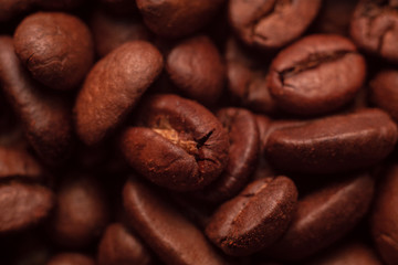 Arabica coffee grains close-up. Top view