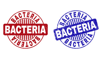 Grunge BACTERIA round stamp seals isolated on a white background. Round seals with grunge texture in red and blue colors. Vector rubber overlay of BACTERIA caption inside circle form with stripes.