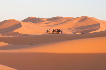Fototapeta na wymiar Morocco, Merzouga, Erg Chebbi Dunes, Tourists Riding Camels