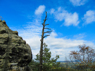 Obraz premium Sächsische Schweiz Saxony Switzerland Bastei