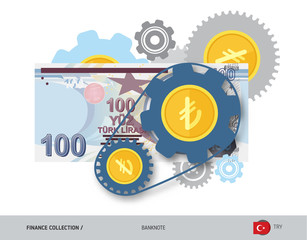 Financial mechanism with 100 Turkish Lira Banknote and coins. Flat style vector illustration. Finance concept.