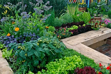  Vegetable garden growing in raised enclosed beds with vegetables and flowers © Garden Guru