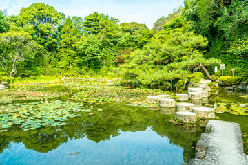Fototapeta na wymiar 平安神宮神苑の庭