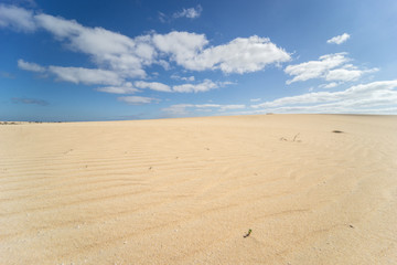 Desert of Fuerteventura at the Canary Islands of Spain