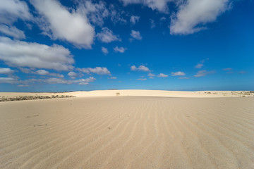 Fototapeta na wymiar Desert of Fuerteventura at the Canary Islands of Spain