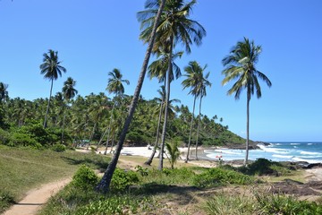 Ilhéus - Bahia