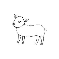 Hand drawn symbol of Happy Easter, vector ink sketch illustration isolated on white, Cute little lamb line art, cartoon sheep, cub ewe farm animal, Character design for baby shower, greeting card