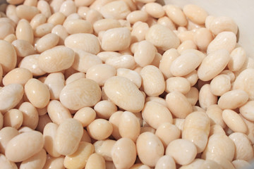 Big white kidney bean isolated on white background. Top view. Flat lay.