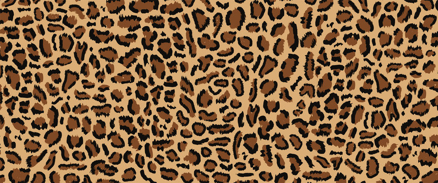 Leopard pattern design, vector illustratin, trendy background, Leopard fur pattern seamless real hairy texture. Fashion, trend 2019. Animal design. Brown, orange, yellow 