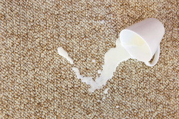 Cup of milk fell on carpet. Stain is on floor.