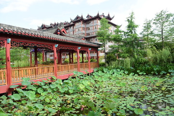 Fototapeta na wymiar Lotus Pavilion and Lotus