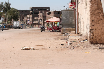 Obraz premium Downtown in Luxor, Egypt. Image of the dog who is relaxed and sleeping deeply in the middle of street.