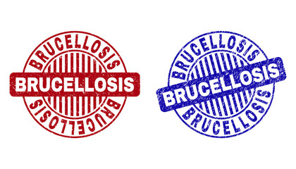 Grunge BRUCELLOSIS round stamp seals isolated on a white background. Round seals with grunge texture in red and blue colors. Vector rubber imitation of BRUCELLOSIS tag inside circle form with stripes.