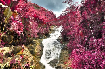 Fantasy infrared shots of purple landscapes on the Seychelles islands