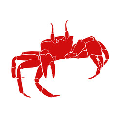 isolated red crab on white background, sea life animal vector illustration