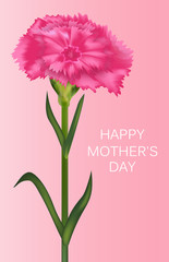 Vertical template for Mother's Day with carnation. Poster, banner or greeting card. Vector
