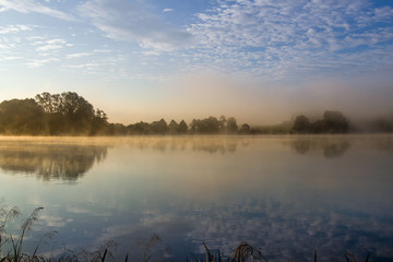 Early summer morning at the pond