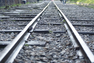 Fototapeta premium 帰宅難民