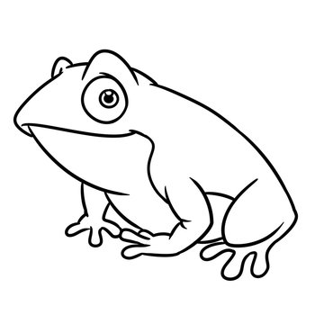 Green fun frog animal character cartoon illustration isolated image coloring page