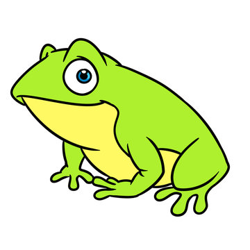 Green fun frog animal character cartoon illustration isolated image 