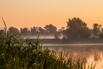 Fototapeta na wymiar Fog over the river. Taromske. Ukraine
