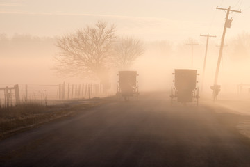 Fototapeta na wymiar Amish Buggies Pass in the Fog of Morning
