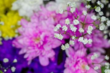 Naklejka na ściany i meble Beautiful gift bouquet of various colorful decorative summer flowers