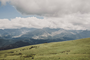 Obraz premium Panorama view of mountains and valley scenes in national park Dombay