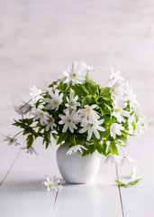 Image with snowdrops.