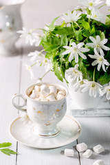 Image with snowdrops.