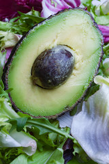 CLOSE UP OF GREEN AVOCADO WITH LETTUCE SALAD