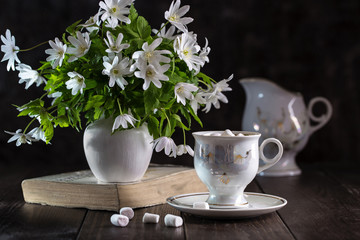 Image with snowdrops.