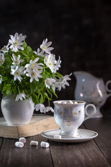Image with snowdrops.