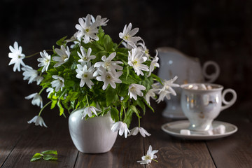 Image with snowdrops.